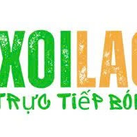 xoilaccommx3